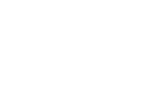 ATLAS GLOBAL SOLUTIONS
